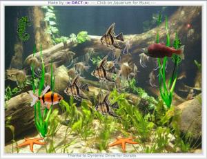 Aquatic Animations